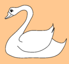 Dibujo Cisne pintado por manyulas