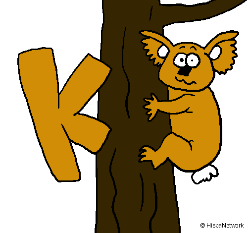 Koala