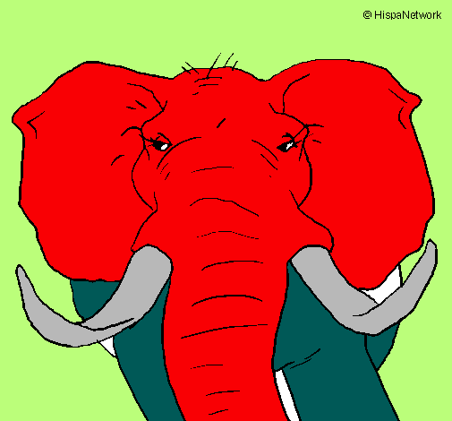 Elefante africano