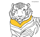 Dibujo Tigre pintado por cayapa