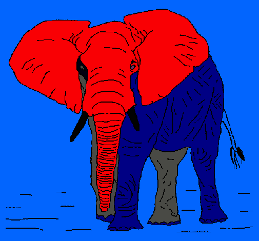 Elefante