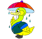 Dibujo Pato bajo la lluvia pintado por adriel