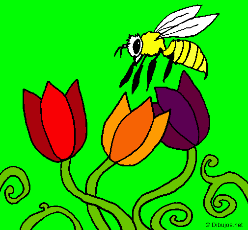 Abeja