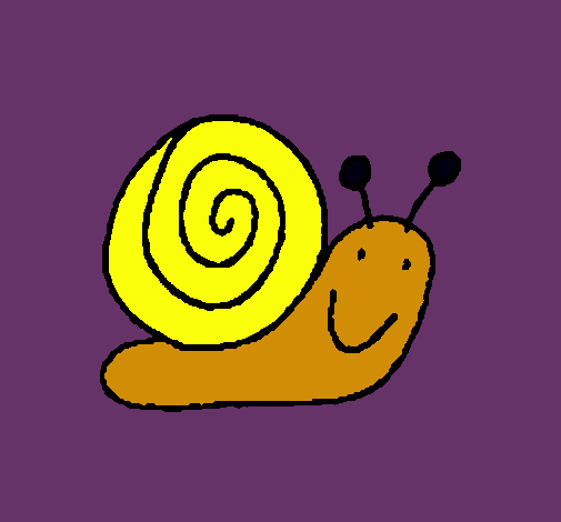 Caracol 4