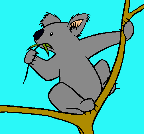 Dibujo Koala pintado por Master