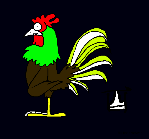 Gallo