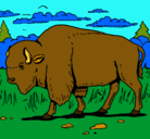 Dibujo Búfalo  pintado por Zuzi    