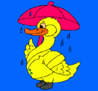 Dibujo Pato bajo la lluvia pintado por bizz