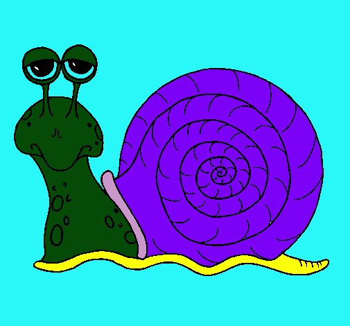 Caracol