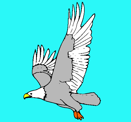 Águila volando