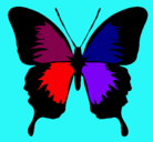 Dibujo Mariposa con alas negras pintado por Hipolito
