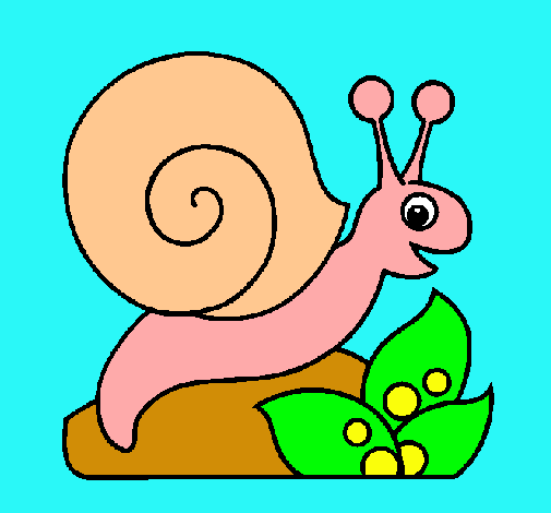 Caracol