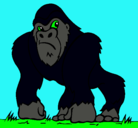 Dibujo Gorila pintado por gorila