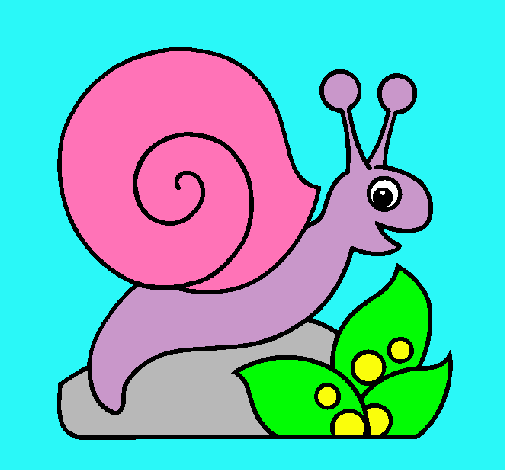 Caracol