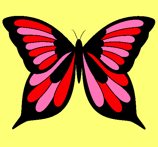 Dibujo Mariposa 8 pintado por aroa
