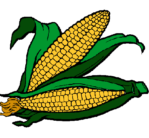 Dibujo Mazorca de maíz pintado por Omar09