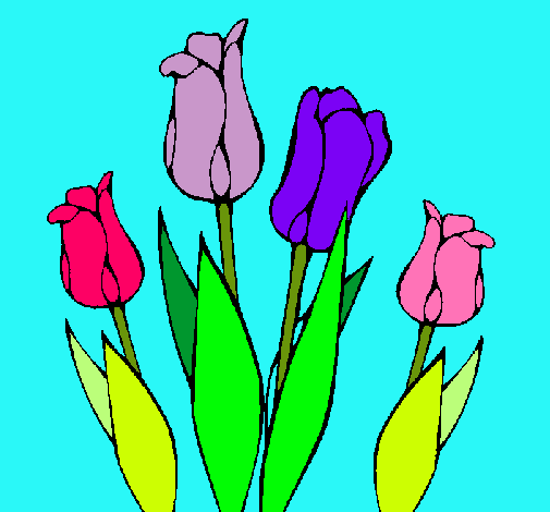 Tulipanes