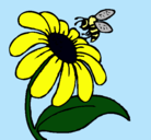 Dibujo Margarita con abeja pintado por monyyyyy