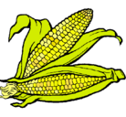 Dibujo Mazorca de maíz pintado por ayliin1