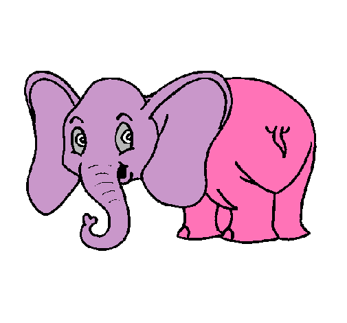 Elefante pequeño