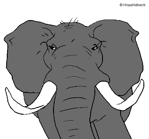 Dibujo Elefante africano pintado por onegato