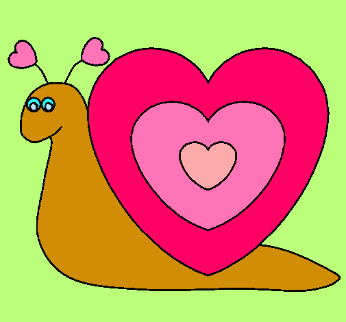 Caracol corazón