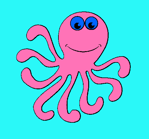 Pulpo 2