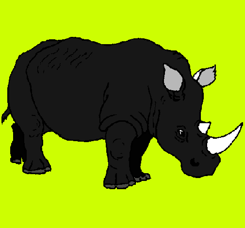 Dibujo Rinoceronte pintado por Osbaldo