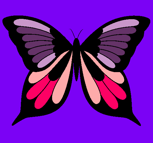 Mariposa 8