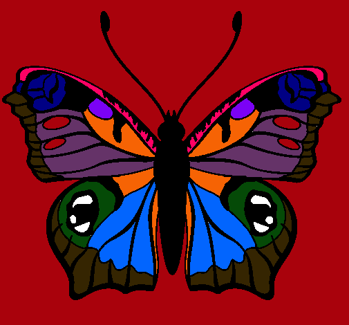Dibujo Mariposa  pintado por dominique1