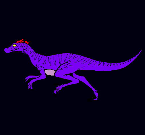 Velociraptor