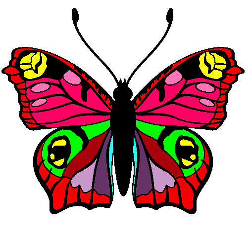 Mariposa 