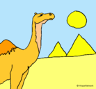 Dibujo Camello pintado por gfdgrr