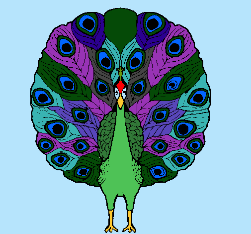 Pavo real