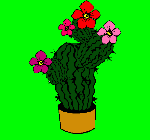 Flores de cactus