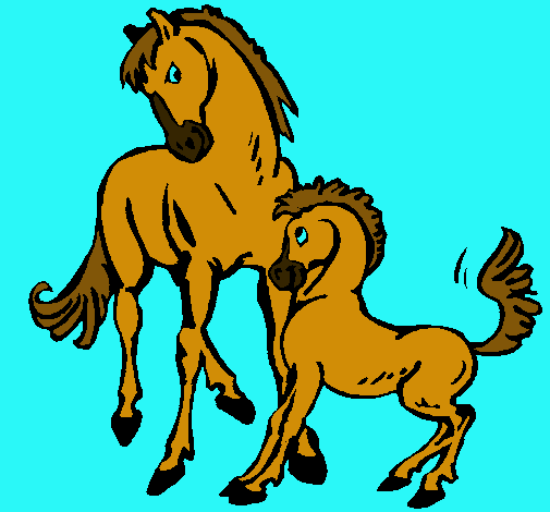 Caballos