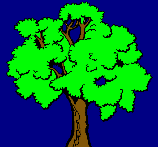 Árbol