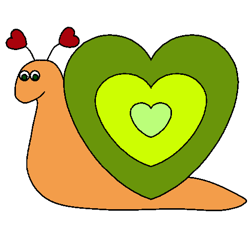 Caracol corazón