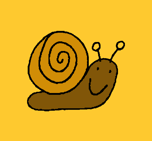 Caracol 4