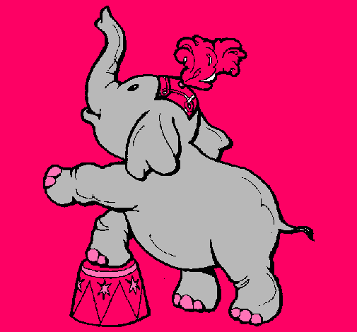 Elefante