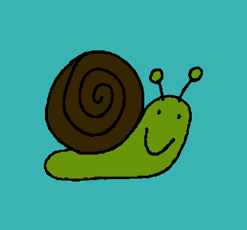 Caracol 4