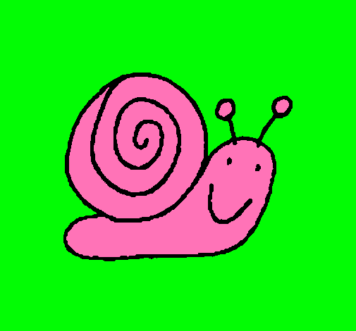 Caracol 4