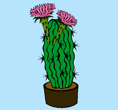 Cactus con flores