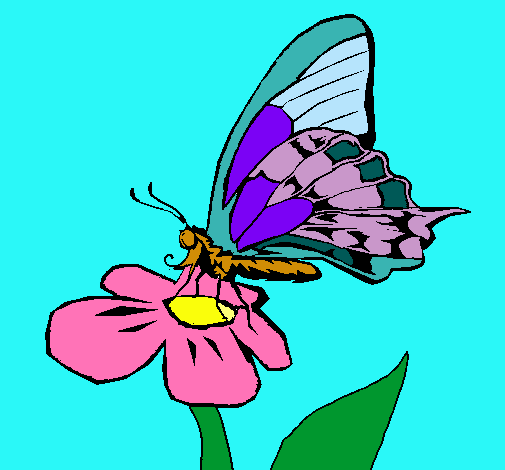 Mariposa en flor