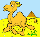 Dibujo Camello pintado por alananan