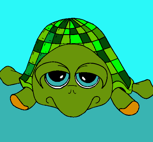 Tortuga