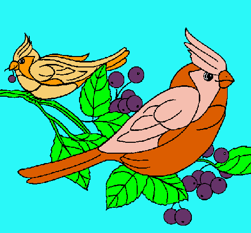 Dibujo Pájaros pintado por IreeneeXB