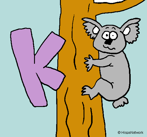 Koala