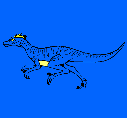 Velociraptor