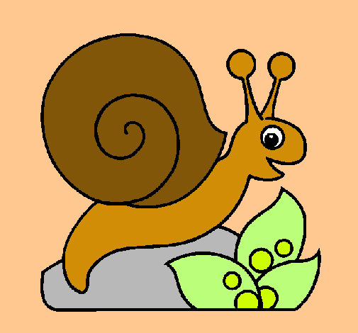 Caracol